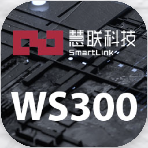 WS300