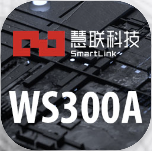 WS300A